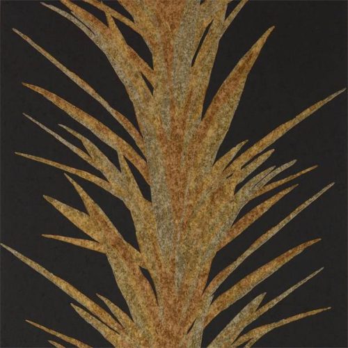 Yucca 216651